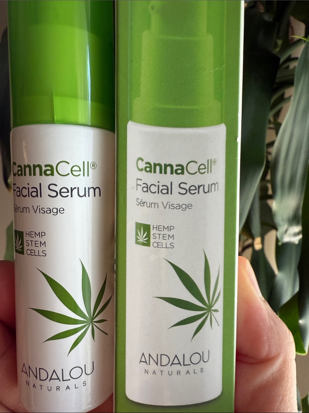 CannaCell Facial Serum - Green